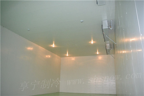 102250384426.jpg 1 (36).jpg