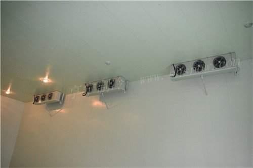 102538681273.jpg 1 (37).jpg